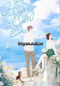 Hạ Cánh Trên Tim Anh - Giang Tử Duyệt (FULL)