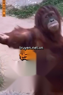Tây Du: Đại Thánh Nghe Khuyên Sau, Tam Giới Đều Mộng Bức