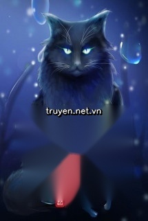 Người Nhặt Thi Ở Conan