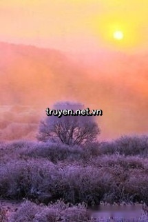 Tình Yêu Màu Tím