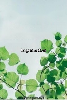 Nghe Nói Anh Là Nam Chính