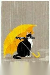 Tôi Có Lý Do Để Nghi Ngờ Mèo Nhà Mình Là Bạn Trai Cũ