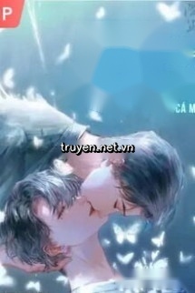 Hơi Ấm Trong Bóng Tối