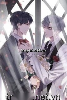 Phương Thức Ly Hôn Của Hào Môn