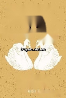 Trộm Vợ - Nhiễm Nhĩ