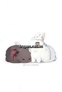 Trong Rừng Sâu Có Một Đôi Thỏ