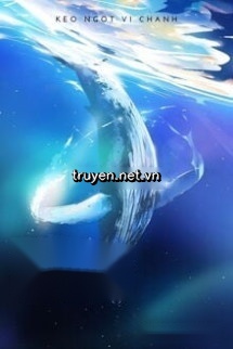 Cá Voi Bơi Giữa Biển Hạ