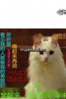 Xuyên Thành Mèo Của Vai Ác