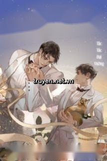 Chồng Tôi Siêu Giàu!! - Tấc Tấc Đại Vương