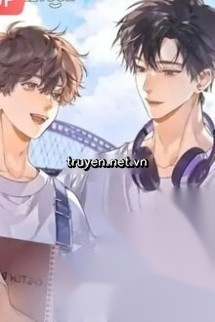Tại Sao Cậu Bảo Mình Thẳng?