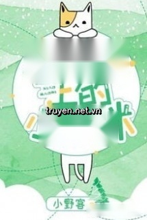 Mèo Con Trên Đại Thảo Nguyên
