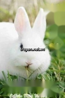 Môn Đăng Hộ Đối