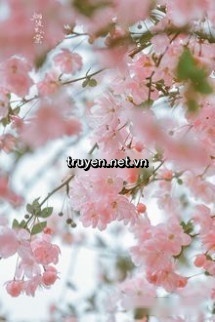 Sau Khi Pháo Hôi Biến Thành Ngốc Nghếch
