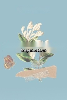Hôn Nhân Thứ Hai