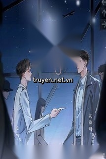 Quy Luật Tình Yêu
