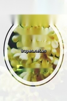 Mùi Hoa Quế Tháng Tám