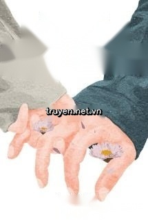 Cúc Non Trong Tầm Mắt - Sầm Mạn