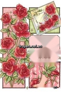 Nụ Hôn Hoa Hồng Gây Nghiện
