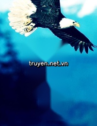Anh Biết Gió Đến Từ Đâu