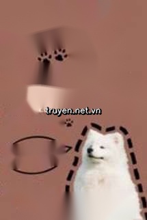 Thì Ra Là Khuyển