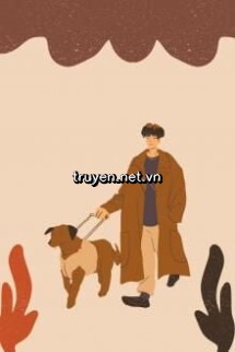 Chuyện Người Đẹp Và Chó Hoang