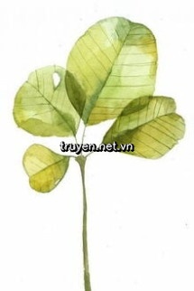 Trầm Chu