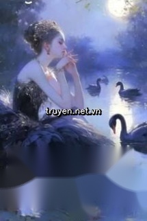 Thiên Nga Đen Thiên Nga Trắng