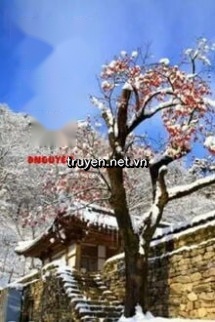 Tuyết Rơi Mùa Hạ
