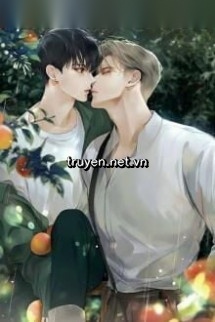Khi Cừu Gặp Sói