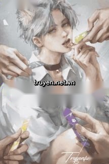 Súp Thưởng Để Dỗ Dành Guide Mèo Quyến Rũ