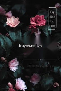 Limited Lover - Quy Hồng Lạc Tuyết