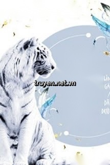 Dẫn Đường Của Vua
