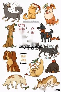 Xin Hãy Cho Tôi Một Anh Bạn Trai Có Thể Dắt Chó Đi Dạo