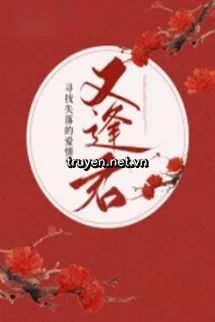 Gặp Lại Quân Tìm Kiếm Tình Yêu