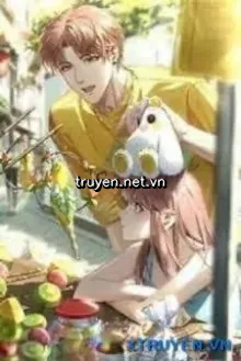Tỏ Tình Em Từ Chối Anh Thay Lòng Đổi Dạ Em Khóc Cái Gì