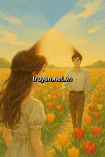 TuLip Dưới Ánh Dương