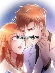Kế Hoạch Tìm Lại Vợ Của Thiếu Gia Họ Lệ