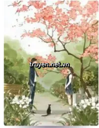 Theo Đuổi Lại Vợ