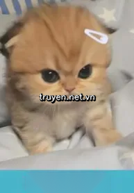 Trừng Phạt