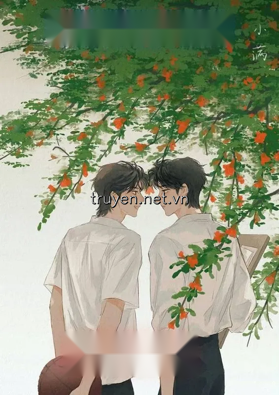 Vô Tình Gặp Gỡ