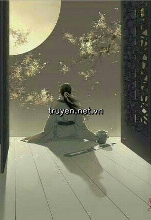 Xuyên Việt Chi Pháo Hôi Nam Xứng