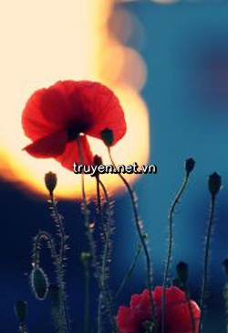 Mặt Trời Lặn Cùng Hoàng Hôn