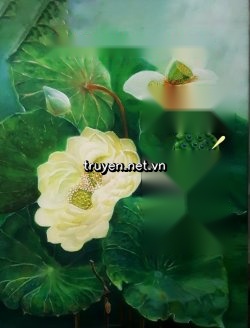 Tịnh Đế
