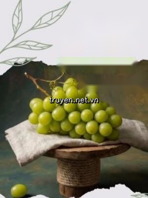 Thầm Yêu Thành Thật - Hương Tiêu Bất Niệt Niệt