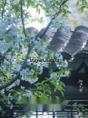 Phượng Thê Ngô - Đại Khẩu Đào Tô