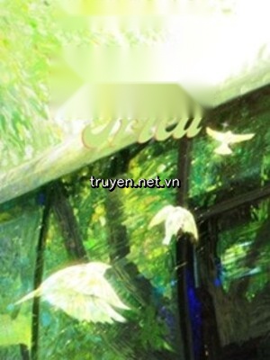 Nhiên Triều - Six7