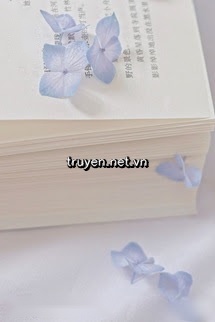 Người Phán Xử