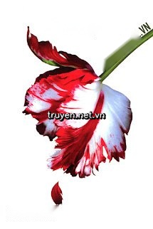 Twilight Series Tập 2: Trăng Non