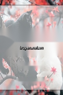 Nhân Đạm Như Cúc