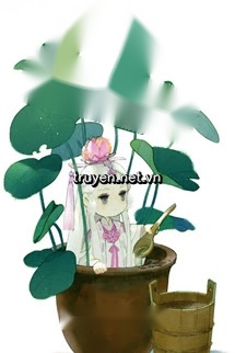 Nữ Phụ Cầm Nhầm Kịch Bản